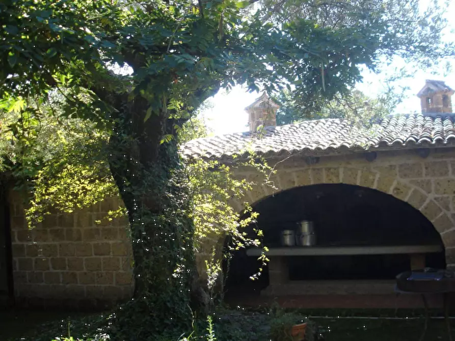 Immagine 22 di Azienda agricola in vendita  in Località Piantoli a Conca Della Campania