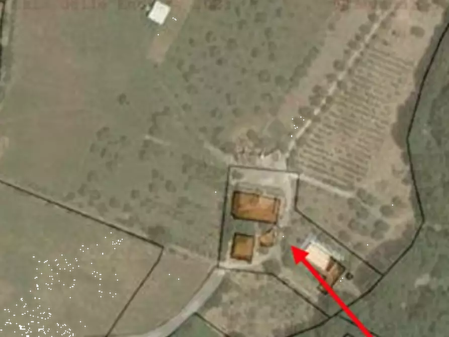 Immagine 24 di Azienda agricola in vendita  in Località Piantoli a Conca Della Campania