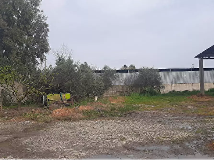 Immagine 2 di Capannone industriale in vendita  in Via Vaticale a Santa Maria La Fossa