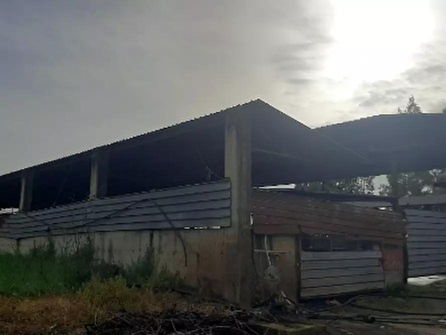 Immagine 3 di Capannone industriale in vendita  in Via Vaticale a Santa Maria La Fossa