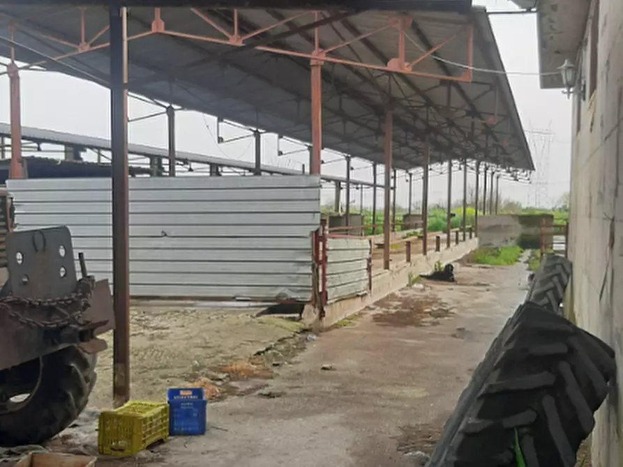 Immagine 4 di Capannone industriale in vendita  in Via Vaticale a Santa Maria La Fossa