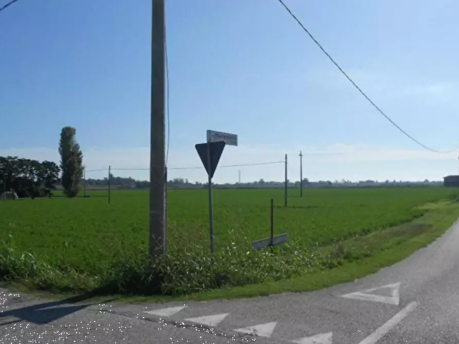Immagine 3 di Terreno agricolo in vendita  in Via Risorgimento a Porto Tolle