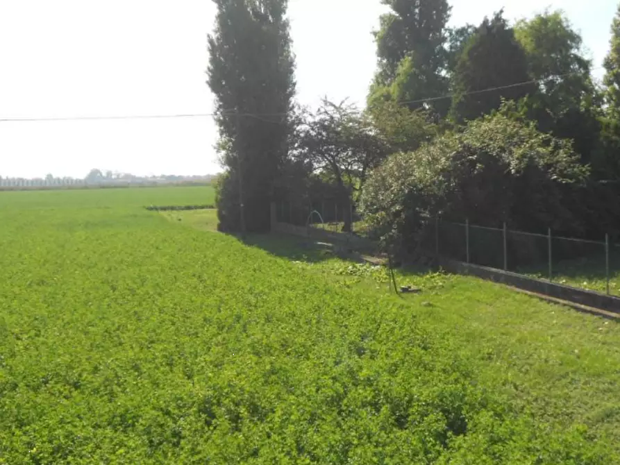 Immagine 9 di Terreno agricolo in vendita  in Via Risorgimento a Porto Tolle