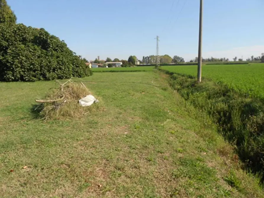 Immagine 10 di Terreno agricolo in vendita  in Via Risorgimento a Porto Tolle
