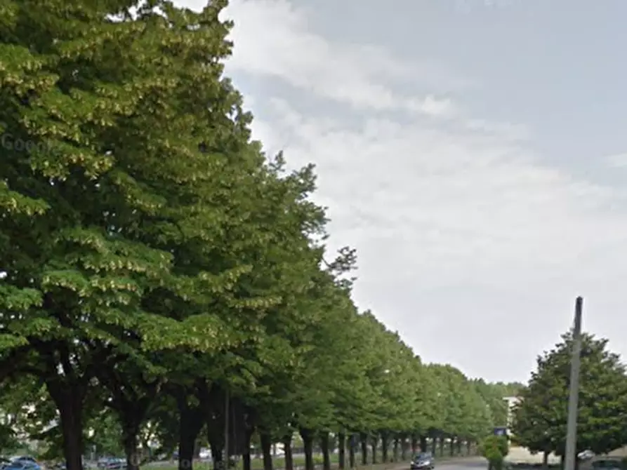 Immagine 12 di Appartamento in vendita  in Riviera Luigi Balzan a Badia Polesine