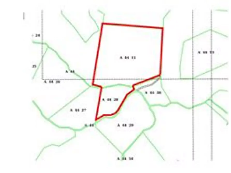 Immagine 4 di Terreno agricolo in vendita  in Località Sant'Angelo in Vado a Sant'angelo In Vado