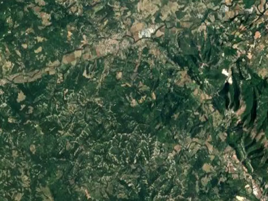 Immagine 5 di Terreno agricolo in vendita  in Località Sant'Angelo in Vado a Sant'angelo In Vado