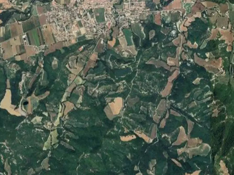 Immagine 2 di Terreno agricolo in vendita  in Località Sant'Angelo in Vado a Sant'angelo In Vado