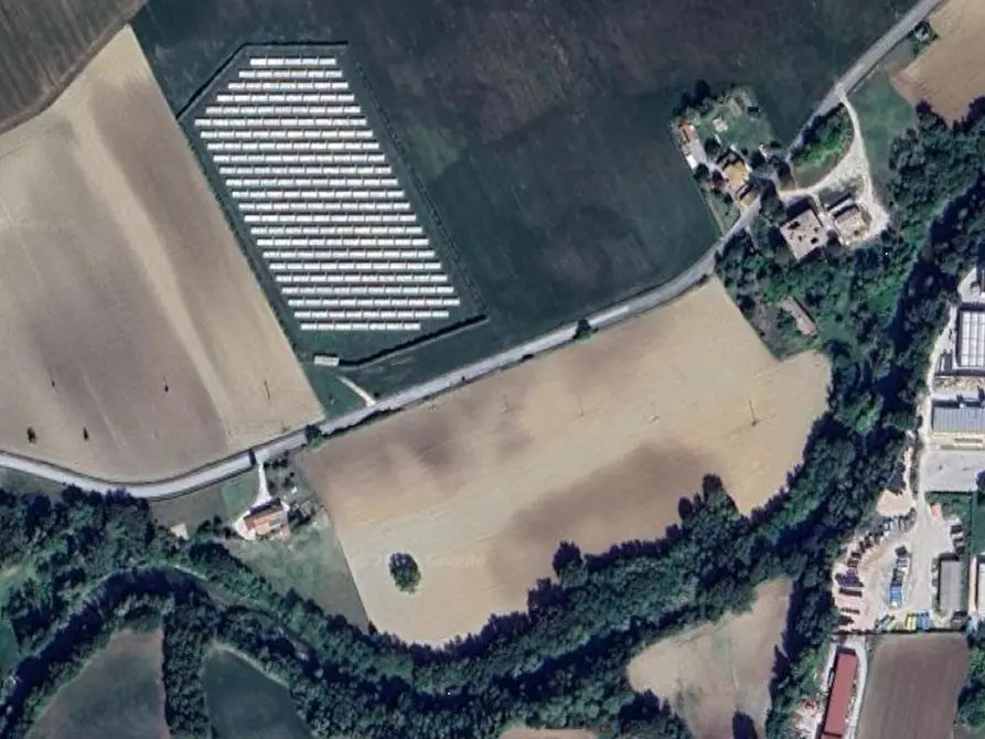 Immagine 2 di Terreno agricolo in vendita  in Frazione San Giovanni in Petra a Peglio