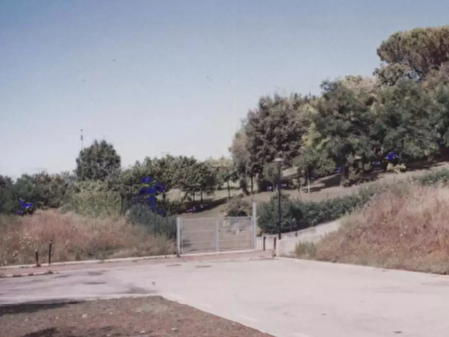 Immagine 2 di Terreno edificabile in vendita  in Località Monte Cipollino a Monteciccardo