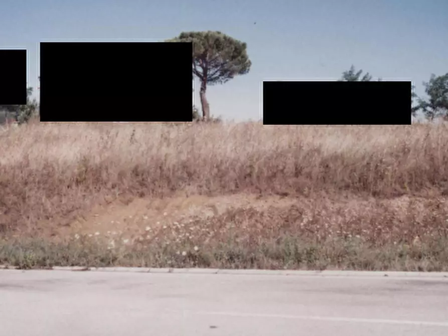 Immagine 3 di Terreno edificabile in vendita  in Località Monte Cipollino a Monteciccardo