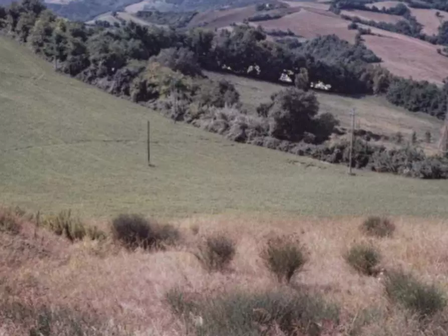 Immagine 5 di Terreno edificabile in vendita  in Località Monte Cipollino a Monteciccardo