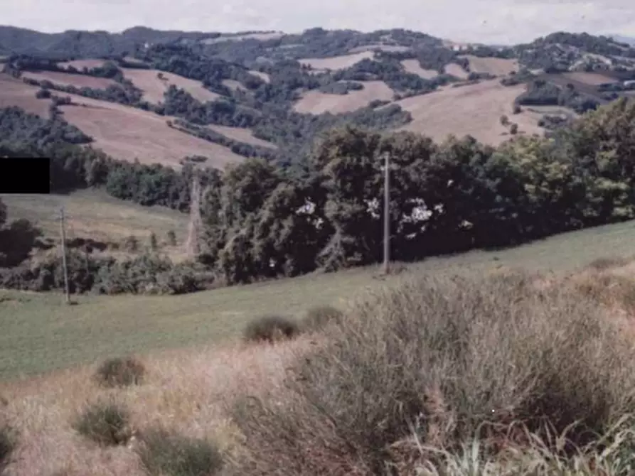 Immagine 7 di Terreno edificabile in vendita  in Località Monte Cipollino a Monteciccardo