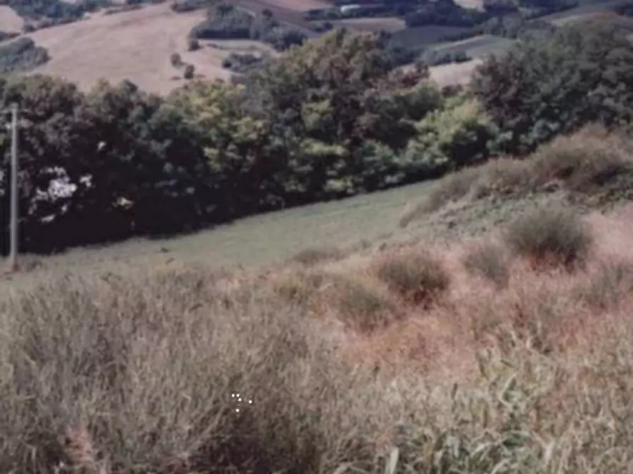 Immagine 8 di Terreno edificabile in vendita  in Località Monte Cipollino a Monteciccardo
