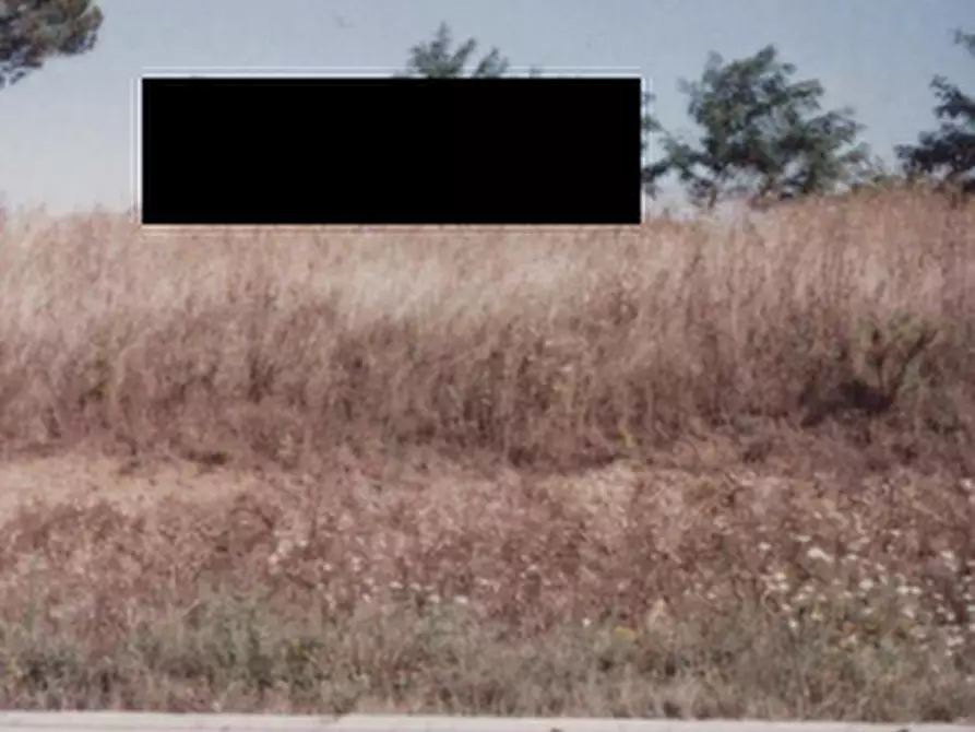 Immagine 10 di Terreno edificabile in vendita  in Località Monte Cipollino a Monteciccardo