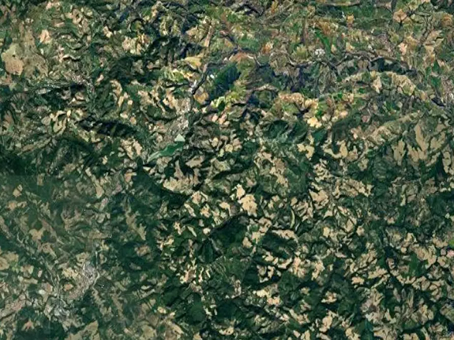 Immagine 3 di Terreno agricolo in vendita  in Località Sassocorvaro a Sassocorvaro Auditore