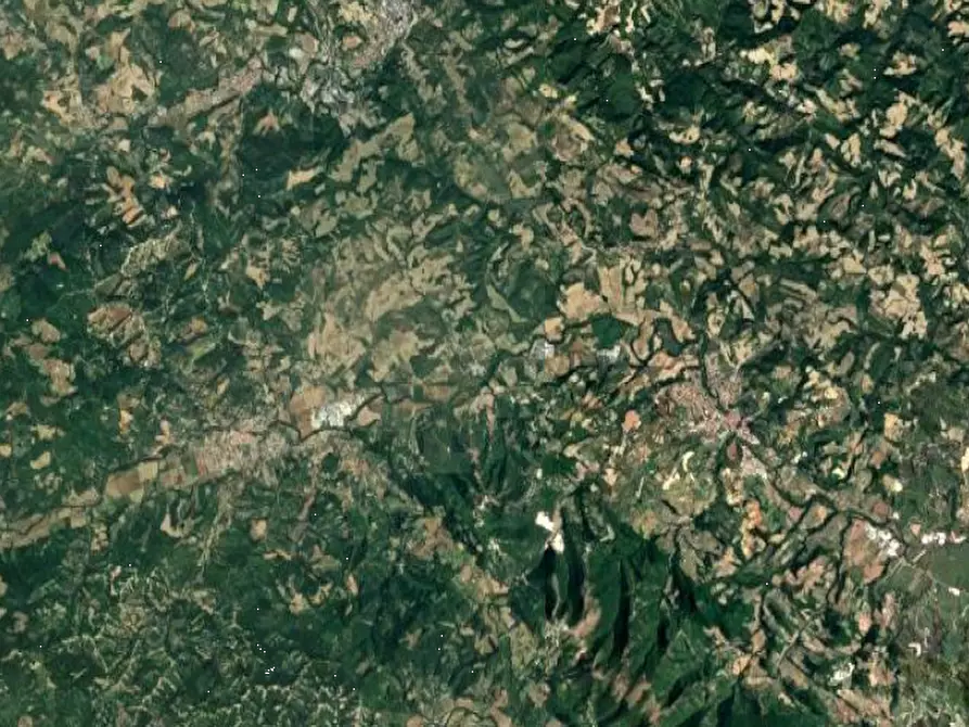 Immagine 1 di Terreno agricolo in vendita  in Frazione San Giovanni in Petra a Peglio