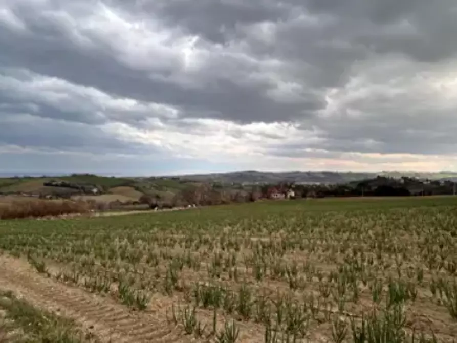 Immagine 2 di Terreno edificabile in vendita  in Via Buona Cesta Maggiore a Mondolfo