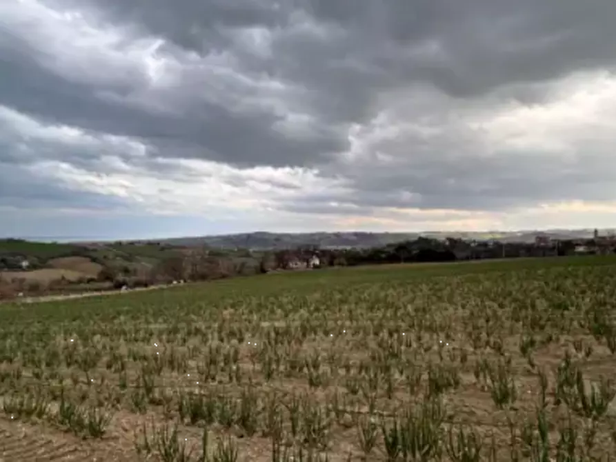 Immagine 3 di Terreno edificabile in vendita  in Via Buona Cesta Maggiore a Mondolfo
