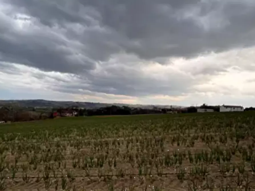 Immagine 6 di Terreno edificabile in vendita  in Via Buona Cesta Maggiore a Mondolfo