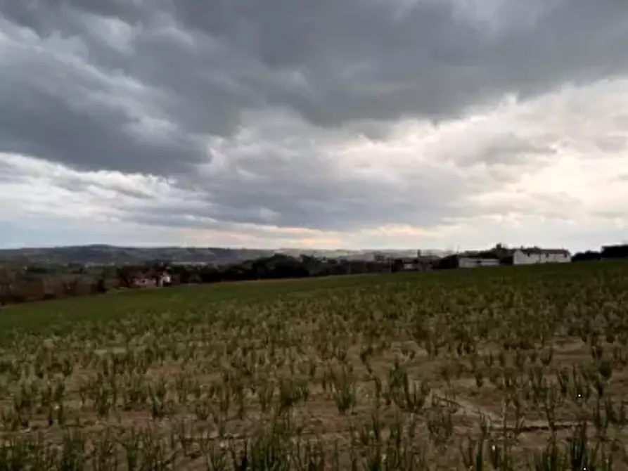 Immagine 7 di Terreno edificabile in vendita  in Via Buona Cesta Maggiore a Mondolfo