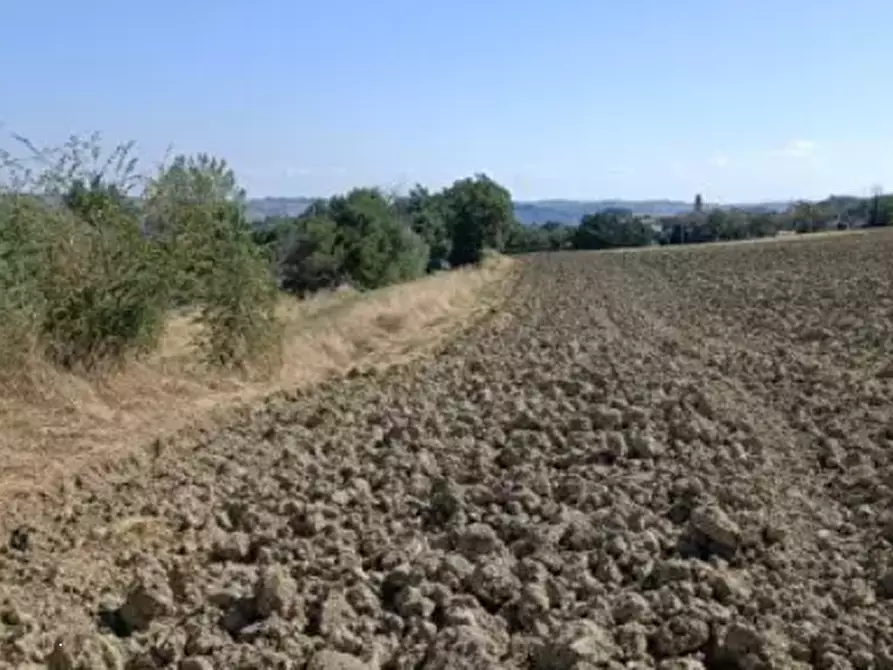 Immagine 8 di Terreno edificabile in vendita  in Via Buona Cesta Maggiore a Mondolfo