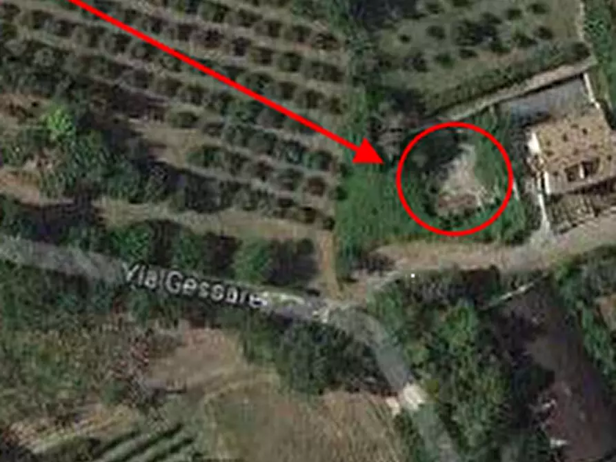 Immagine 2 di Terreno edificabile in vendita  in Via Roma a Sant'ippolito