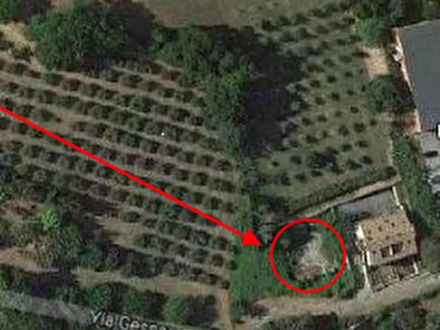 Immagine 3 di Terreno edificabile in vendita  in Via Roma a Sant'ippolito