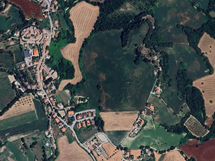 Immagine 4 di Terreno agricolo in vendita  in San Giovanni in Petra a Peglio