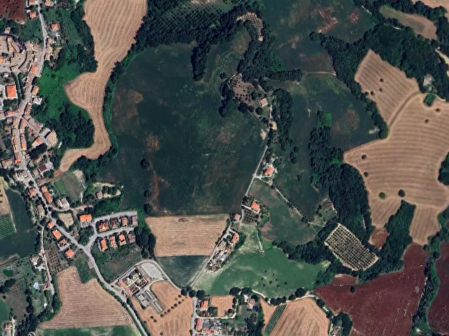 Immagine 5 di Terreno agricolo in vendita  in San Giovanni in Petra a Peglio