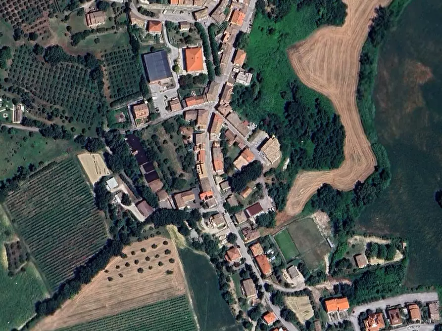 Immagine 1 di Terreno agricolo in vendita  in San Giovanni in Petra a Peglio