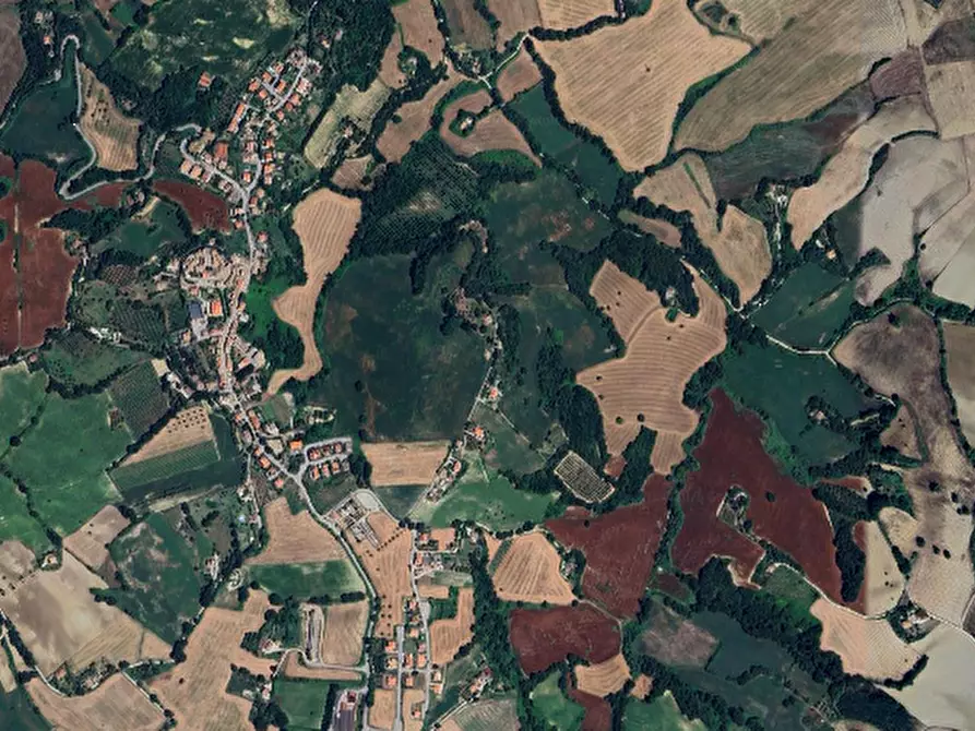 Immagine 6 di Terreno agricolo in vendita  in San Giovanni in Petra a Peglio