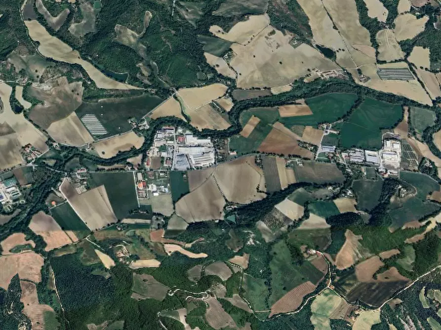 Immagine 10 di Terreno agricolo in vendita  in San Giovanni in Petra a Peglio