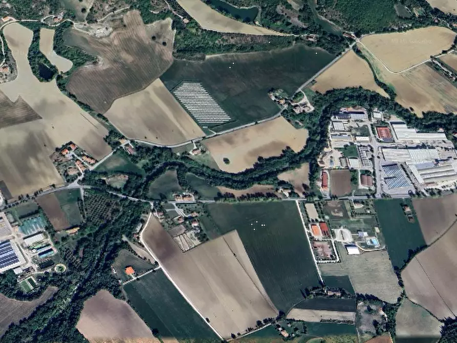 Immagine 8 di Terreno agricolo in vendita  in San Giovanni in Petra a Peglio