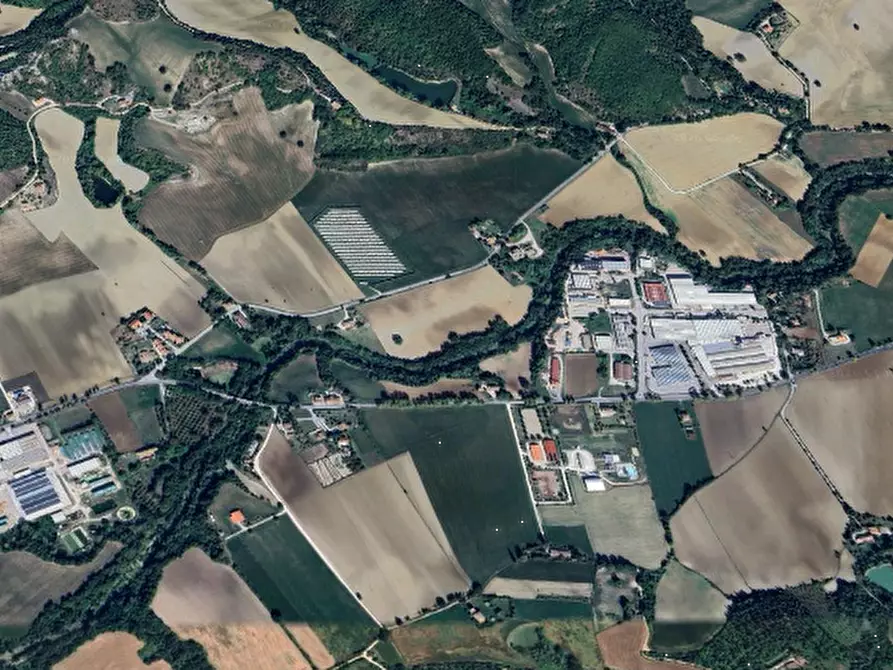 Immagine 9 di Terreno agricolo in vendita  in San Giovanni in Petra a Peglio