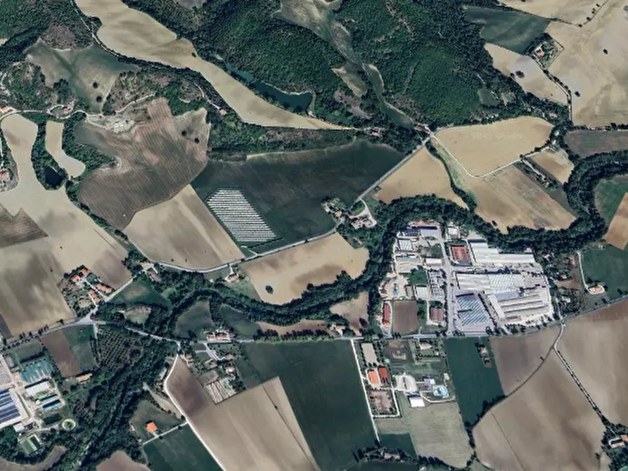 Immagine 10 di Terreno agricolo in vendita  in San Giovanni in Petra a Peglio