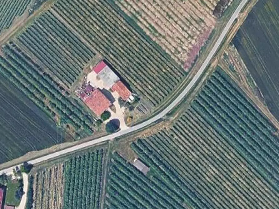 Immagine 4 di Terreno edificabile in vendita  in Via Fornazzo a Bagnacavallo