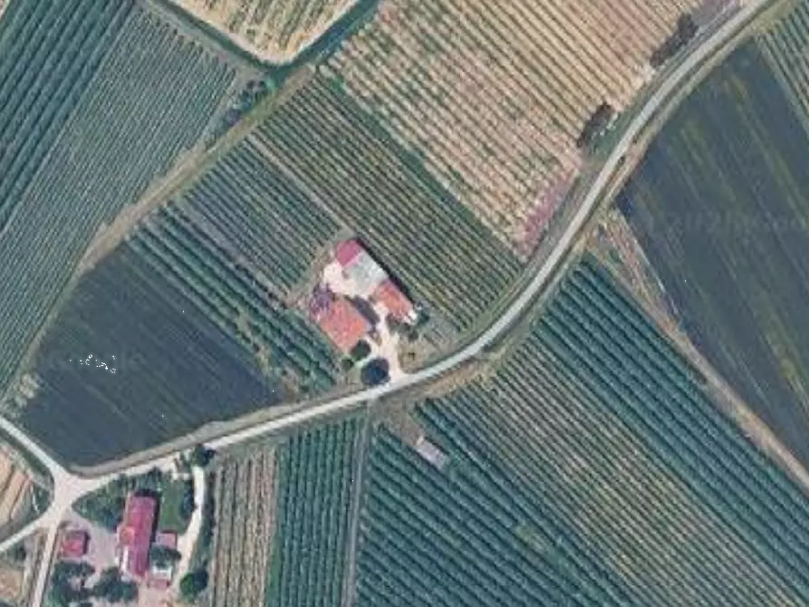 Immagine 5 di Terreno edificabile in vendita  in Via Fornazzo a Bagnacavallo