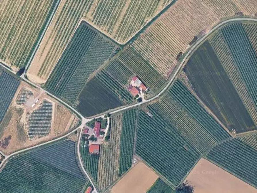 Immagine 1 di Terreno edificabile in vendita  in Via Fornazzo a Bagnacavallo