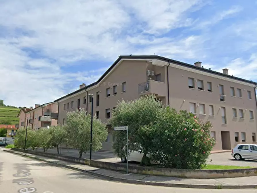 Immagine 10 di Appartamento in vendita  in Via Pigafetta  a Sossano