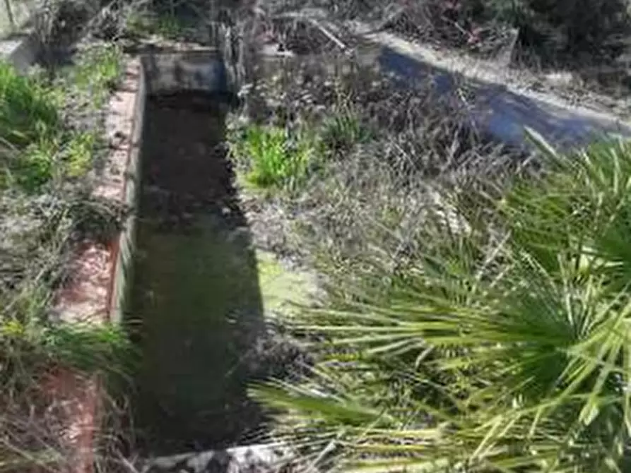 Immagine 5 di Appartamento in vendita  in Via Alcide De Gasperi a Grottazzolina