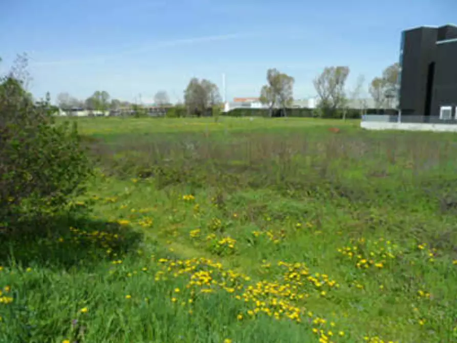 Immagine 3 di Terreno agricolo in vendita  in via Galileo Galilei a Pero