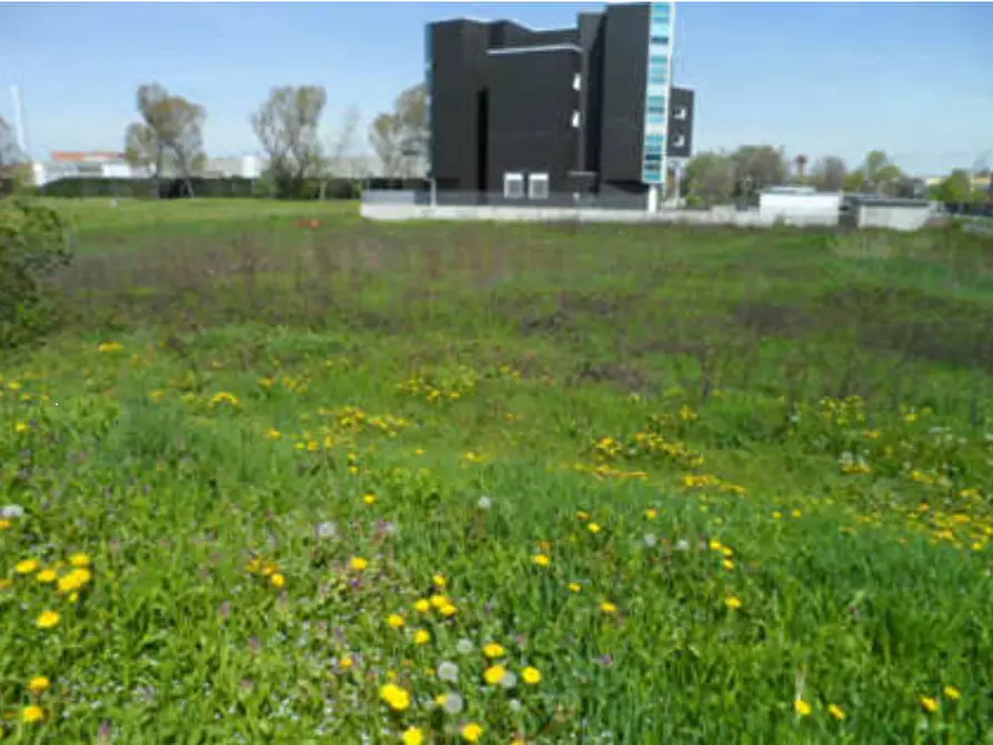 Immagine 4 di Terreno agricolo in vendita  in via Galileo Galilei a Pero