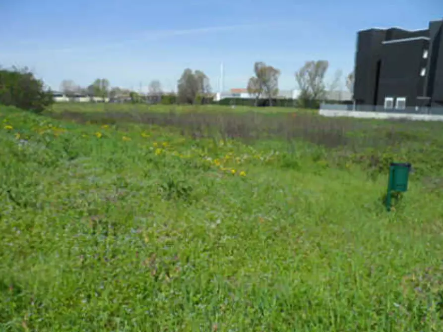 Immagine 5 di Terreno agricolo in vendita  in via Galileo Galilei a Pero