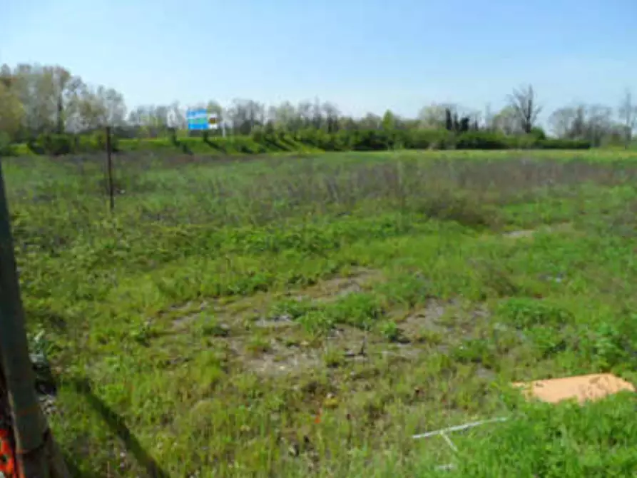 Immagine 6 di Terreno agricolo in vendita  in via Galileo Galilei a Pero