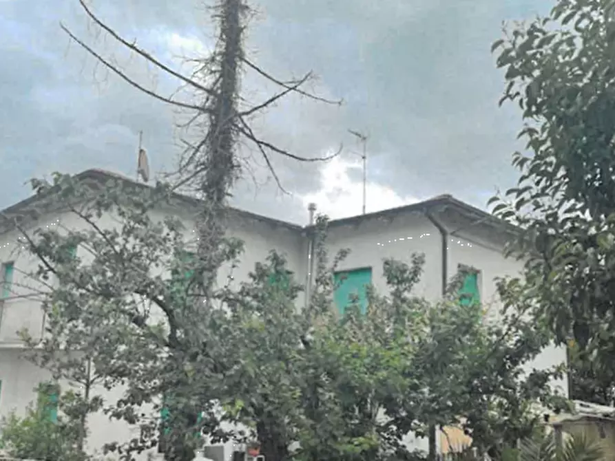 Immagine 5 di Appartamento in vendita  in Via Alessandro Botticelli a Porto San Giorgio