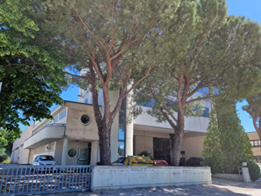 Immagine 3 di Capannone industriale in vendita  in Via della Meccanica a Pesaro