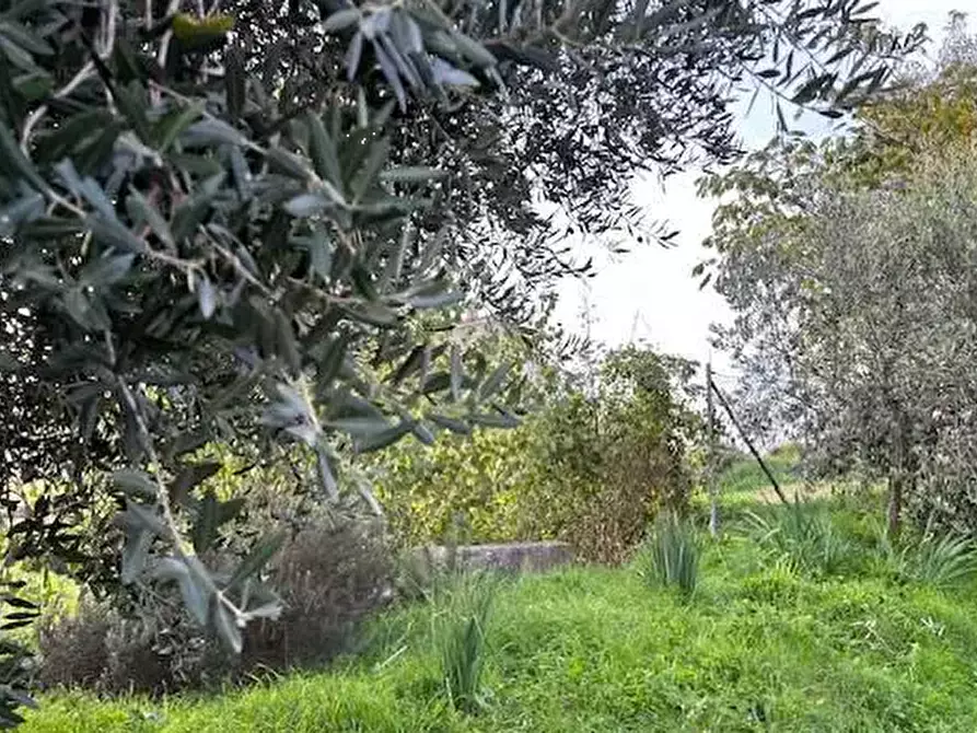 Immagine 2 di Terreno edificabile in vendita  in  Via Arnaldo Merlini  a Terre Roveresche