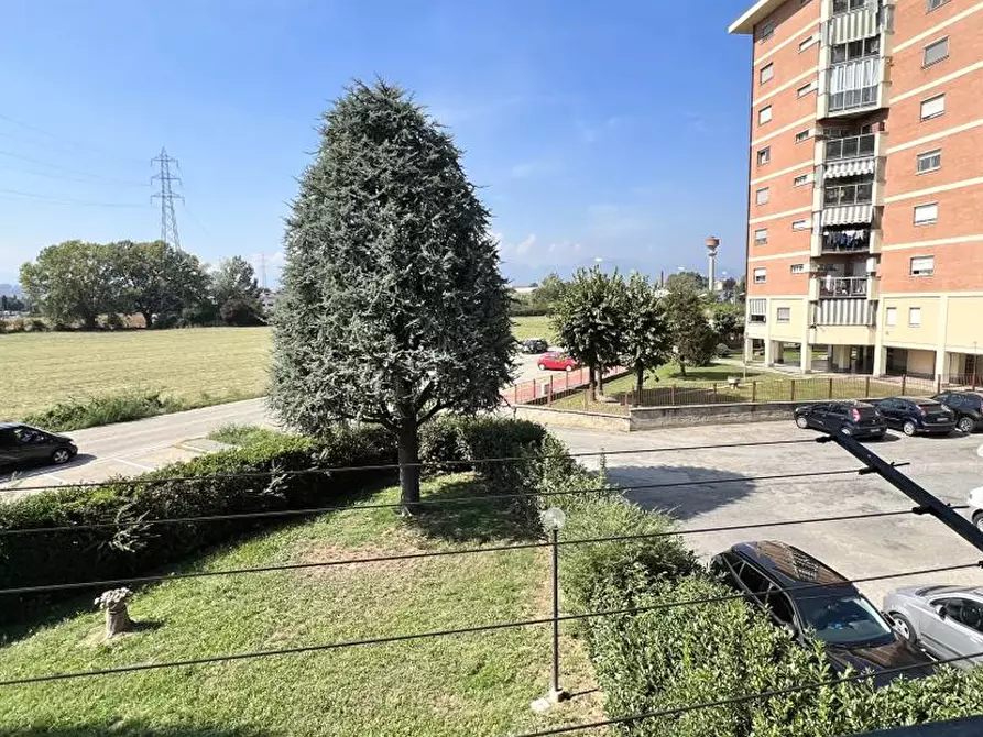 Immagine 6 di Appartamento in vendita  in Corso Martin Luther King a Grugliasco