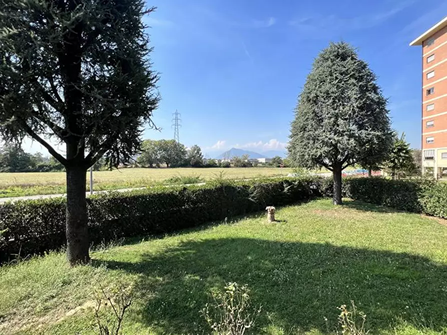 Immagine 3 di Appartamento in vendita  in Corso Martin Luther King a Grugliasco